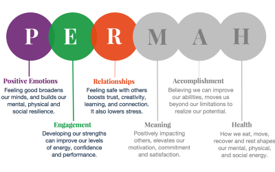 Using PERMAH for your POSITIVE DUTY